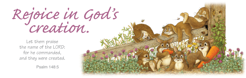 Bookmarks - 12 Assorted Designs