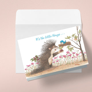Friendly Kritters Birthday Cards - Set 1 - old