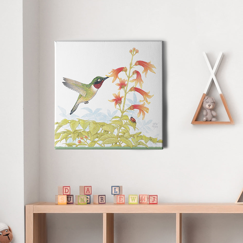 Friendly Kritters Wall Art Print - Hummingbird - 16x16 - Hand Drawn - Canvas