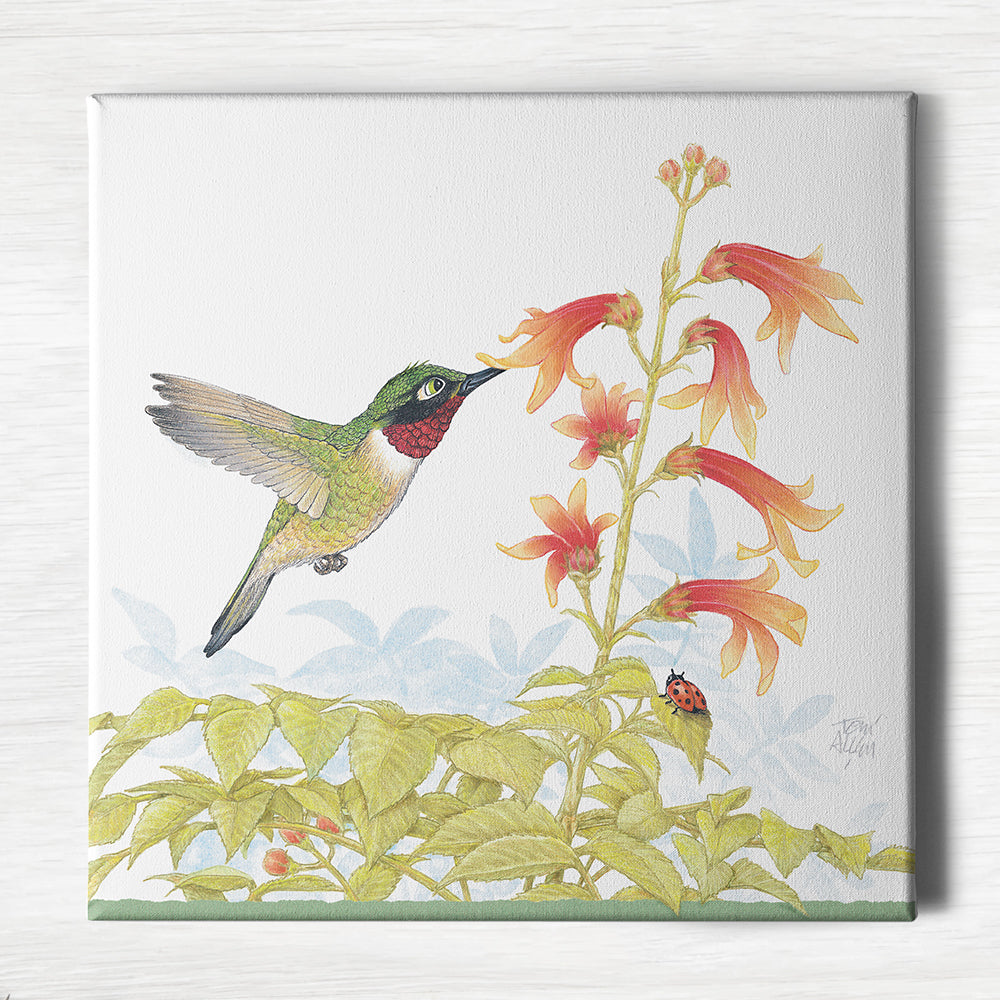Friendly Kritters Wall Art Print - Hummingbird - 16x16 - Hand Drawn - Canvas