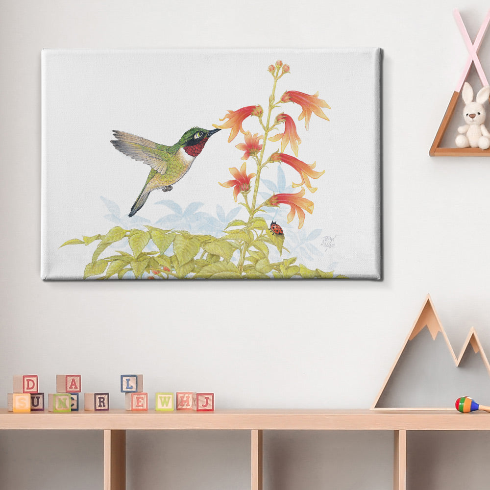 Friendly Kritters Wall Art Print - Hummingbird - 24x36 - Hand Drawn - Canvas