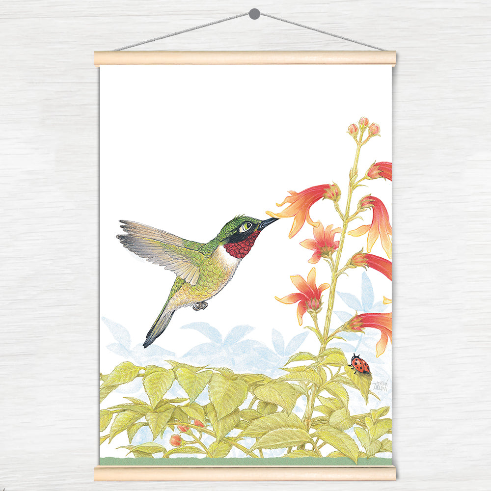 Friendly Kritters Wall Art Print - Hummingbird - 17.5x24 - Hand Drawn - Wood Frame Hanger