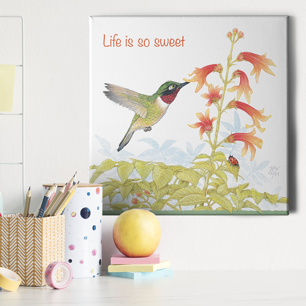 Friendly Kritters Wall Art Print - Hummingbird - 16x16 - Hand Drawn - Canvas