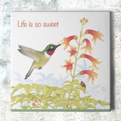 Friendly Kritters Wall Art Print - Hummingbird - 16x16 - Hand Drawn - Canvas