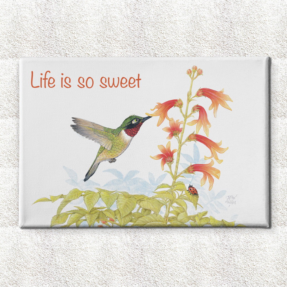 Friendly Kritters Wall Art Print - Hummingbird - 24x36 - Hand Drawn - Canvas