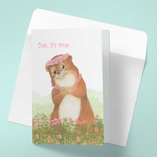 Friendly Kritters Greeting Note Cards - Set 3